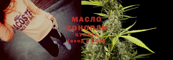 хмурый Каменка