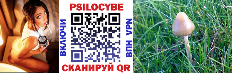 Галлюциногенные грибы ЛСД  продажа наркотиков  MEGA как войти  Сарапул 