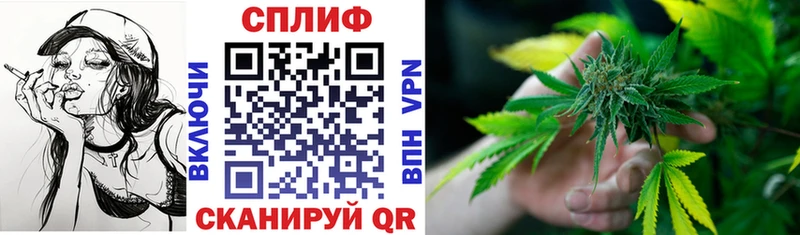 купить закладку  Сарапул  Бошки марихуана White Widow 